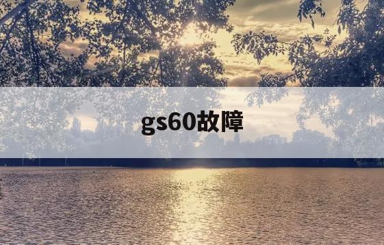 gs60故障(gsv3000故障)