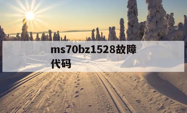ms70bz1528故障代码(海尔ms70bz1528故障代码)