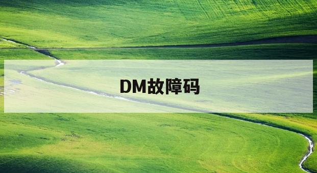 DM故障码(dm故障码67907)