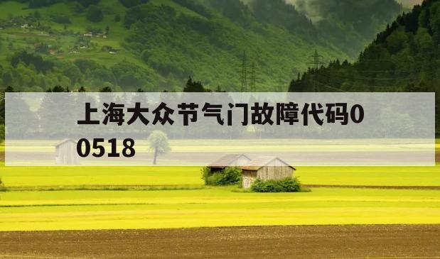 上海大众节气门故障代码00518的简单介绍