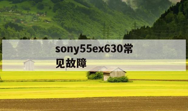 sony55ex630常见故障(sony55x8000c故障排除)