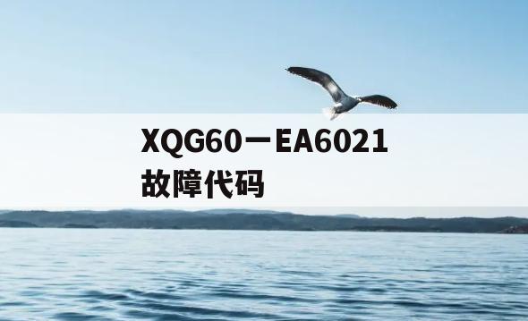XQG60一EA6021故障代码(松下xqg60ea6021故障代码)