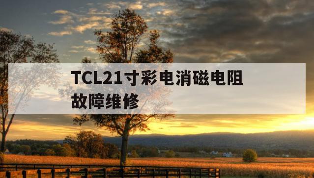 包含TCL21寸彩电消磁电阻故障维修的词条