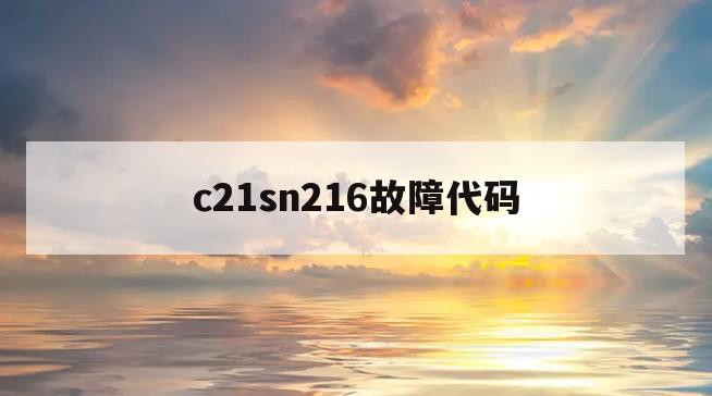 c21sn216故障代码(c11b213是什么故障码)